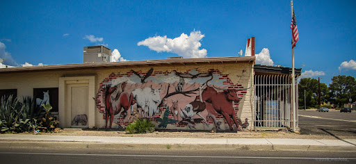 Pet Supply Store «O K Feed & Supply», reviews and photos, 3701 E Fort Lowell Rd, Tucson, AZ 85716, USA