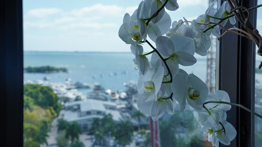 Personal Injury Attorney «Mesa Law Firm», reviews and photos