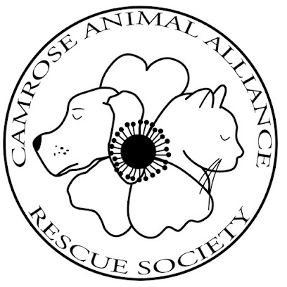 Camrose Animal alliance rescue society