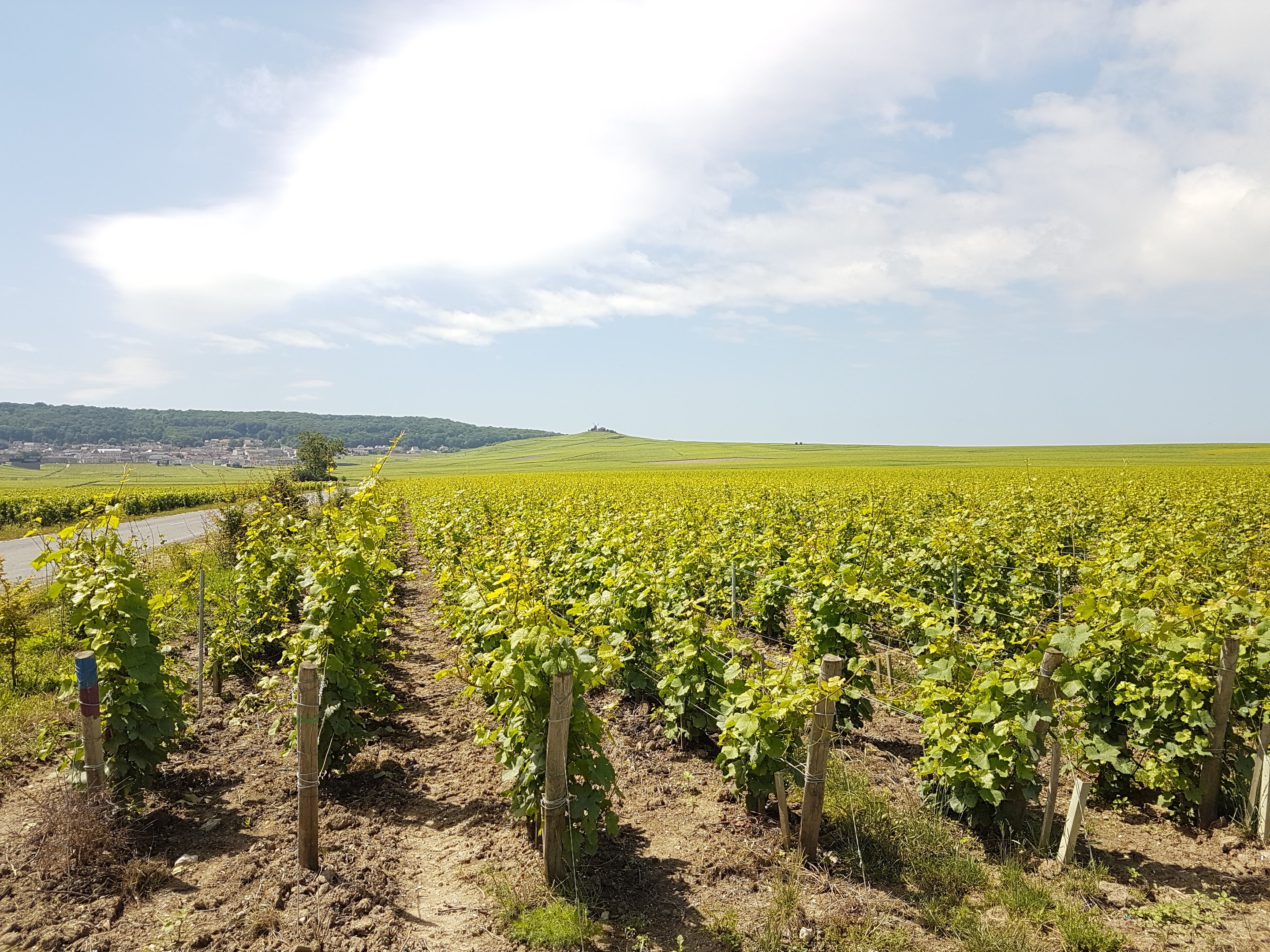 Photo n° 2 de l'avis de seb.e fait le 09/08/2018 à 11:43