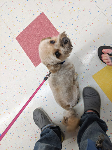 Pet Supply Store «Petco Animal Supplies», reviews and photos, 9 W Avon Rd, Avon, CT 06001, USA