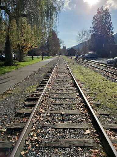 Community Center «Downtown Issaquah Association - Main Street Issaquah», reviews and photos, 232 Front St N, Issaquah, WA 98027, USA