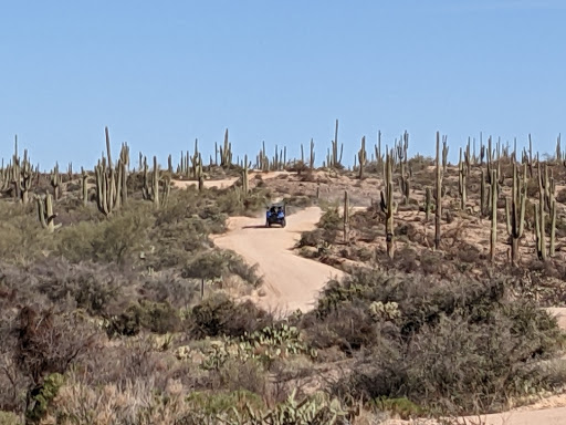 Tour Operator «Stellar Adventures», reviews and photos, 4026 E Broadway Rd, Phoenix, AZ 85040, USA