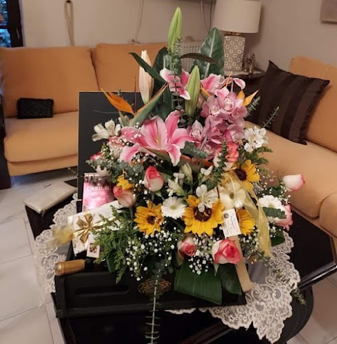 "ΚΥΚΛΑΜΙΝΟ" ΜΠΑΜΠΗΣ ΑΡΩΝΗΣ