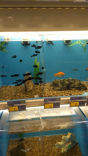 Pet Supply Store «PetSmart», reviews and photos, 15042 Summit Ave, Fontana, CA 92336, USA