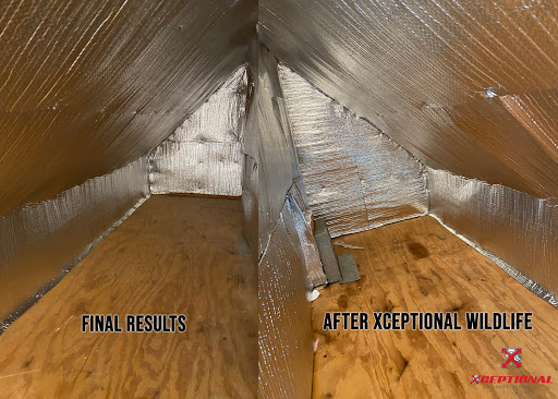 Animal Control Service «Xceptional Wildlife Removal», reviews and photos