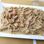 Photo n°2 de l'avis de Michela.' fait le 05/08/2023 à 12:05 sur le  Al Cantuccio Ristorante Pizzeria à Urbino