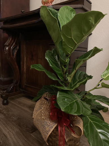 Florist «Flowers By Lou Ann», reviews and photos, 632 S Beckham Ave, Tyler, TX 75701, USA