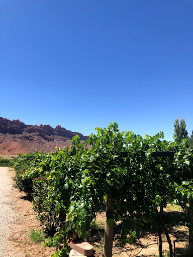 Winery «Spanish Valley Vineyard & Winery», reviews and photos, 4710 Zimmerman Ln, Moab, UT 84532, USA