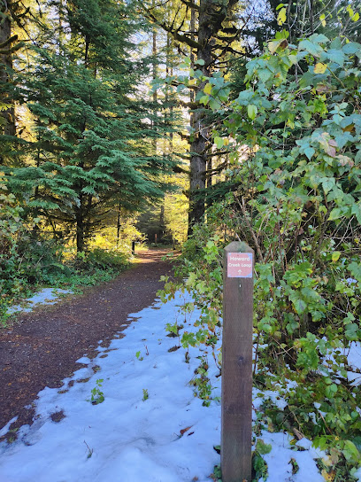 Buck Mountain Trail