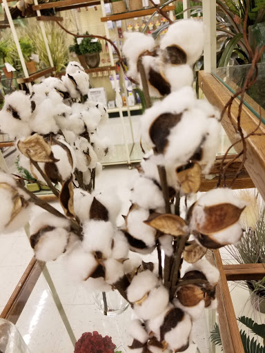 Craft Store «Hobby Lobby», reviews and photos, 2808 Business Center Dr, Pearland, TX 77584, USA