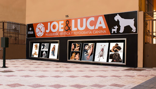 Joe & Luca Peluquería, Estetica y Fotografía Canina