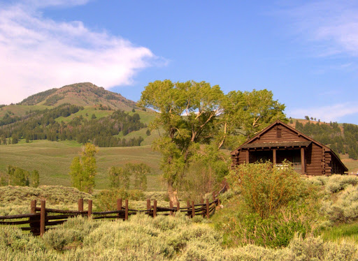 National Park «Yellowstone National Park», reviews and photos