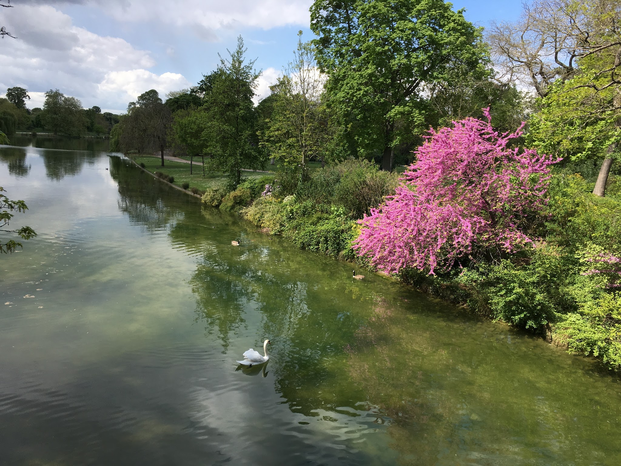 Photo n° 1 de l'avis de Allen.a fait le 31/05/2017 à 19:19
