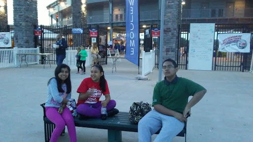 Stadium «Palisades Credit Union Park», reviews and photos