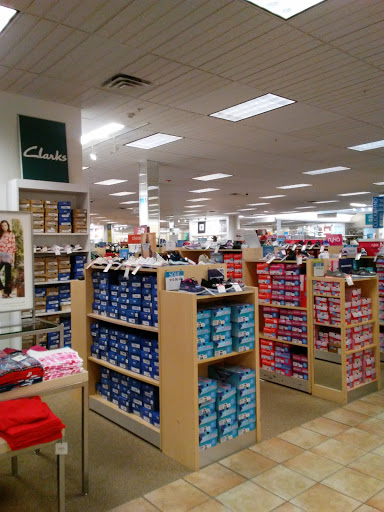 Department Store «Bealls Store», reviews and photos, 2368 Pine Ridge Rd, Naples, FL 34109, USA
