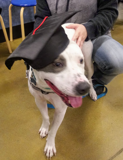 Pet Supply Store «PetSmart», reviews and photos, 2861 Veterans Memorial Pkwy, St Charles, MO 63303, USA