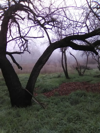 Natural Foods Store «S&S Organic Produce and Natural Foods», reviews and photos, 1924 Mangrove Ave, Chico, CA 95926, USA