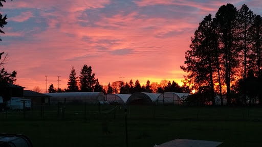 Railroad Company «Flower Farmer», reviews and photos, 2512 N Holly St, Canby, OR 97013, USA