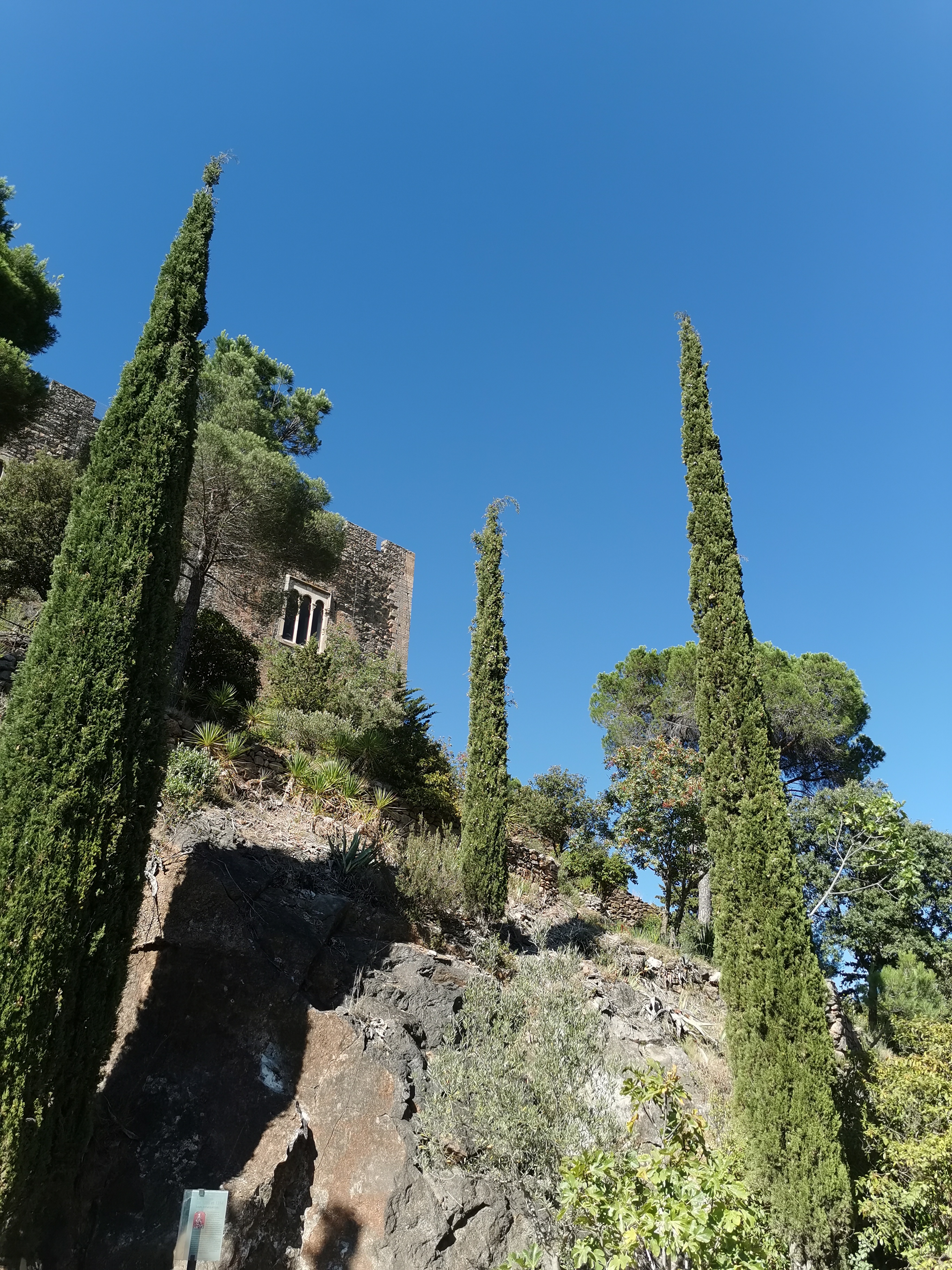 Photo n° 13 de l'avis de Hélèna.u fait le 21/08/2021 à 18:00