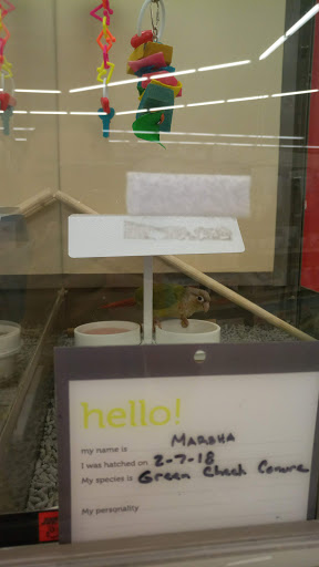 Pet Supply Store «Petco Animal Supplies», reviews and photos, 125 Lincoln Hwy, Exton, PA 19341, USA