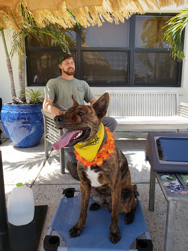 Pet Store «Wholesome Hound», reviews and photos, 198 Tamiami Trail N, Naples, FL 34102, USA