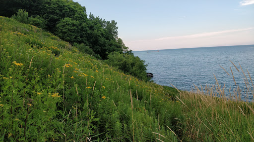 Country Club «Shoreacres Country Club», reviews and photos, 1601 Shore Acres Rd, Lake Bluff, IL 60044, USA