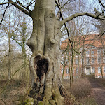 Photo n°17 de l'avis de Mirja.i fait le 14/03/2021 à 18:09 sur le  Manoir de Ludwigsburg à Waabs