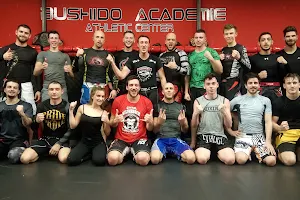 Bushido Académie : MMA, Jiu-jitsu brésilien, baby arts martiaux, image