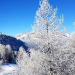 Photo n°23 de l'avis de luciana.e fait le 12/01/2017 à 07:48 sur le  Hotel Savoia Debili à Sauze d'Oulx