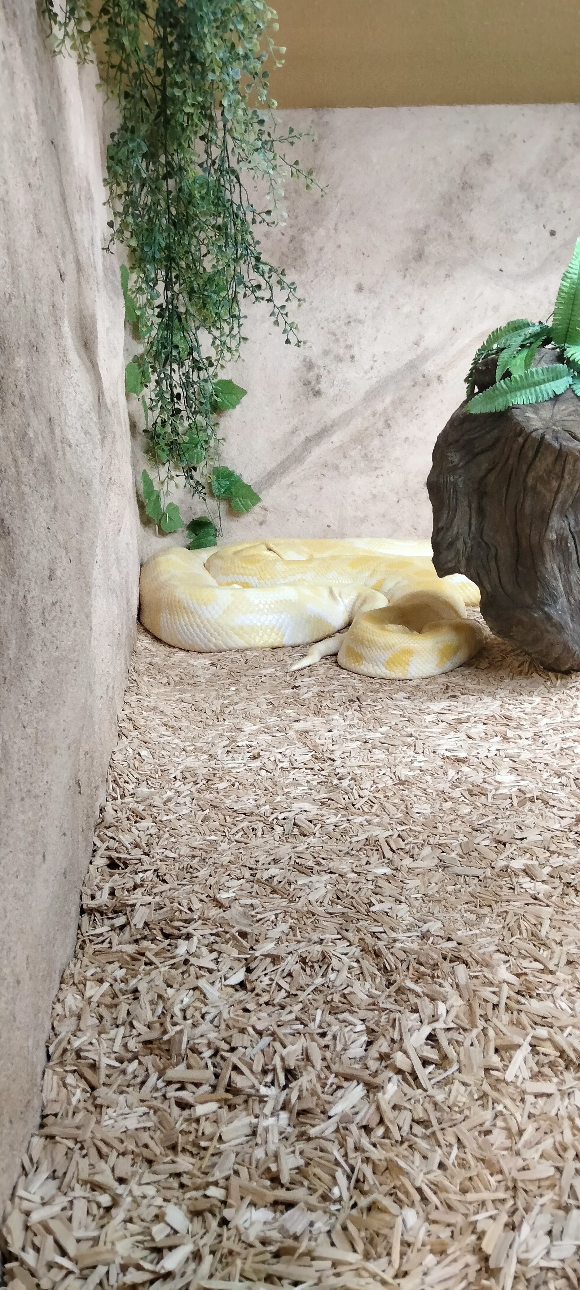 Photo n° 2 de l'avis de Dany.u fait le 19/03/2023 à 19:21