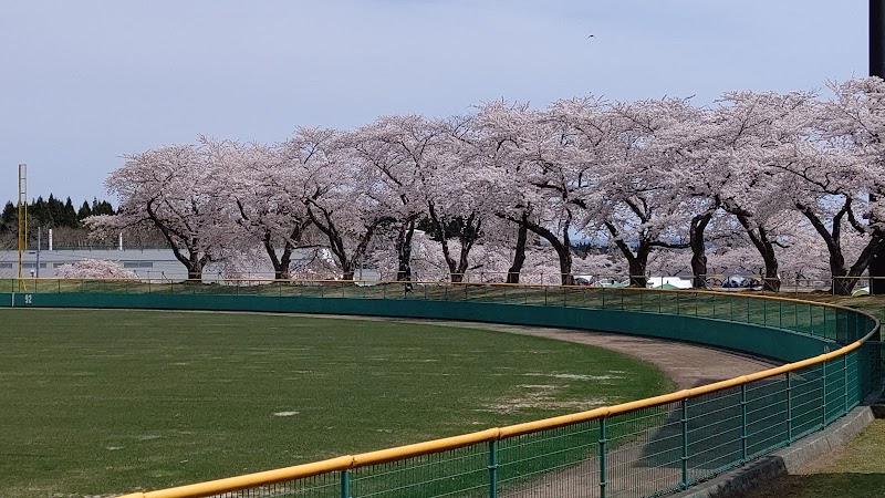 むつ運動公園