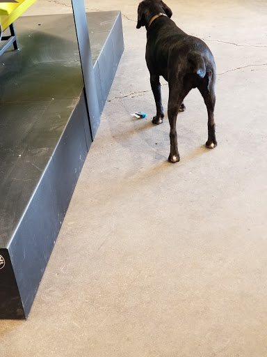 Motorsports Store «River Raisin Powersports», reviews and photos, 1065 N Telegraph Rd, Monroe, MI 48162, USA