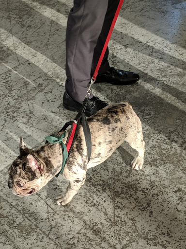 Park «Jose Marti Park», reviews and photos, 351 SW 4th Ave, Miami, FL 33144, USA