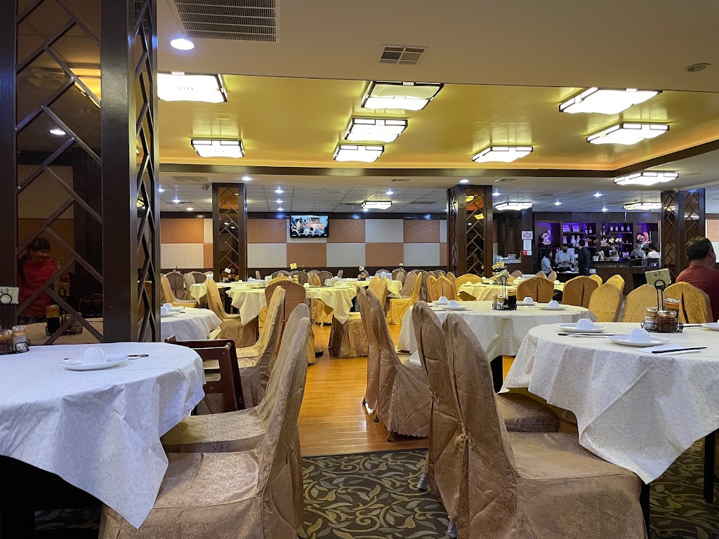 Hong Kong Islander 95822