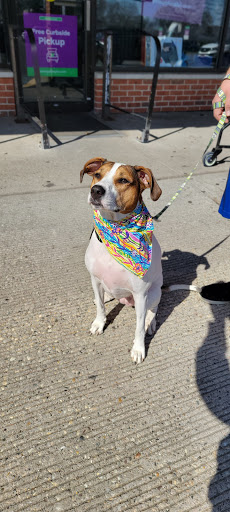 Pet Supply Store «Pet Supplies Plus», reviews and photos, 601 Portion Rd, Lake Ronkonkoma, NY 11779, USA