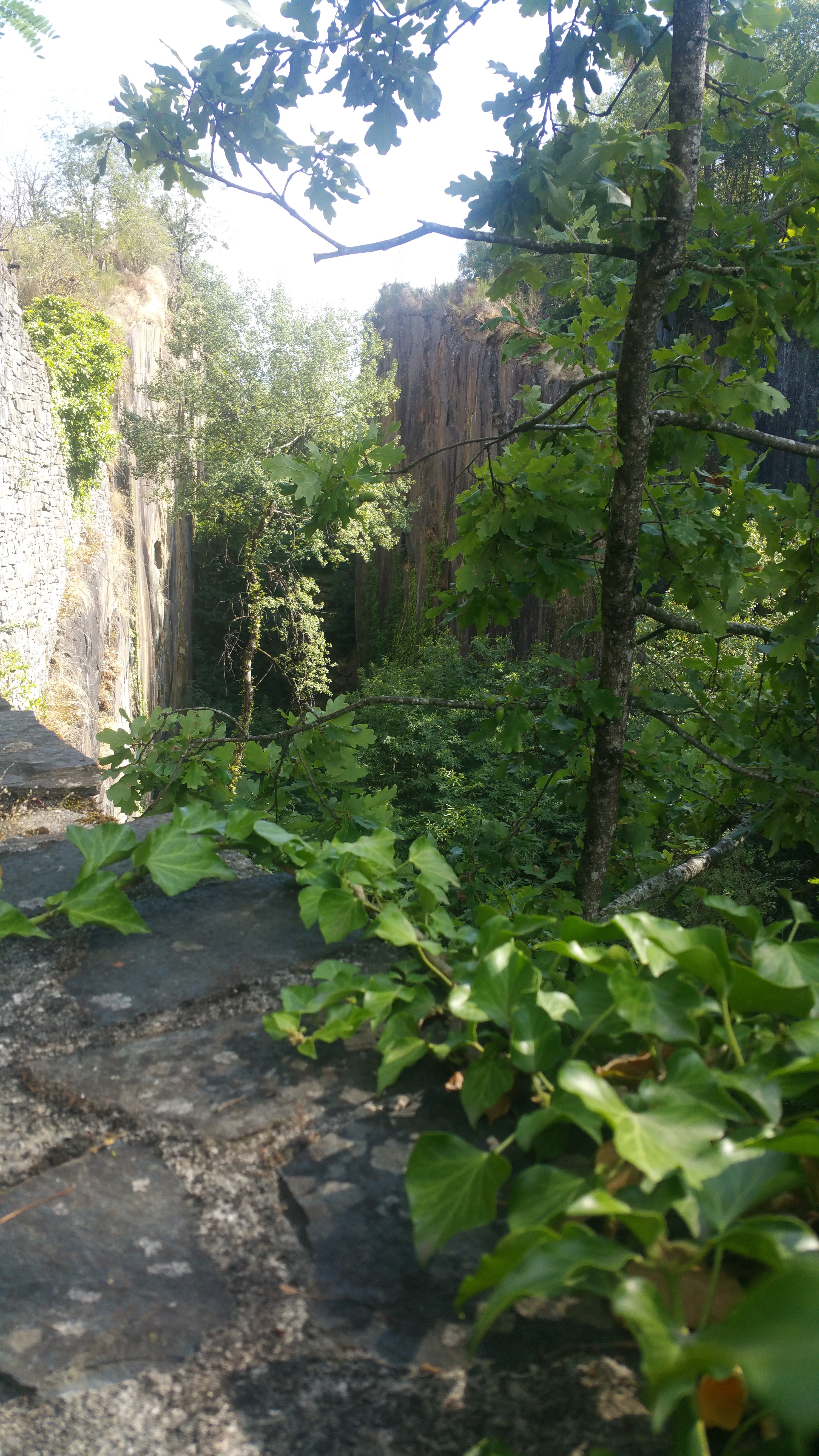 Photo n° 5 de l'avis de Emilie.a fait le 21/08/2019 à 17:30