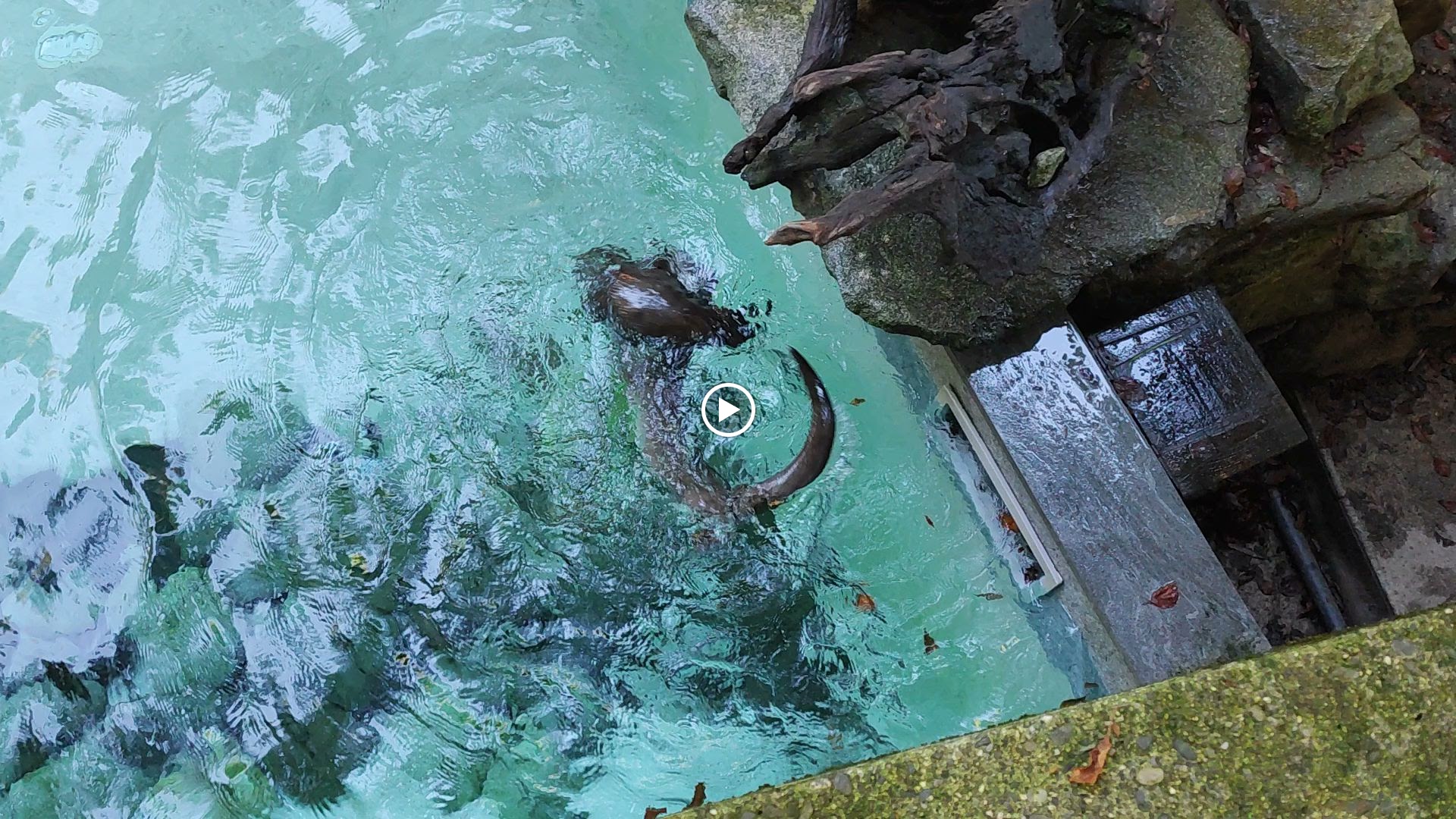 Photo n° 36 de l'avis de Thierry.i fait le 28/09/2023 à 17:40