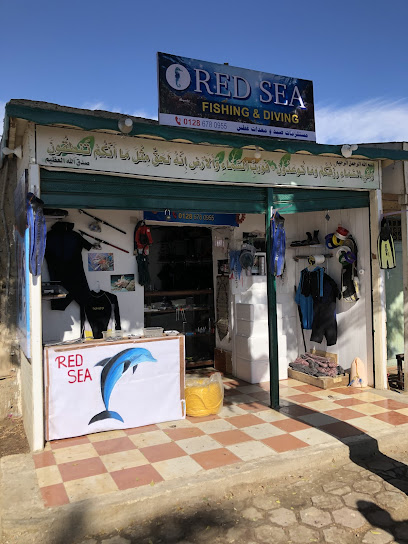 Red Sea Fishing and Diving