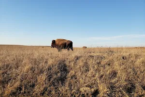 Joseph H. Williams Tallgrass Prairie Preserve image