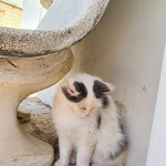 Photo n°6 de l'avis de David.a fait le 05/07/2023 à 16:48 sur le  Masseria Torricella à Alberobello