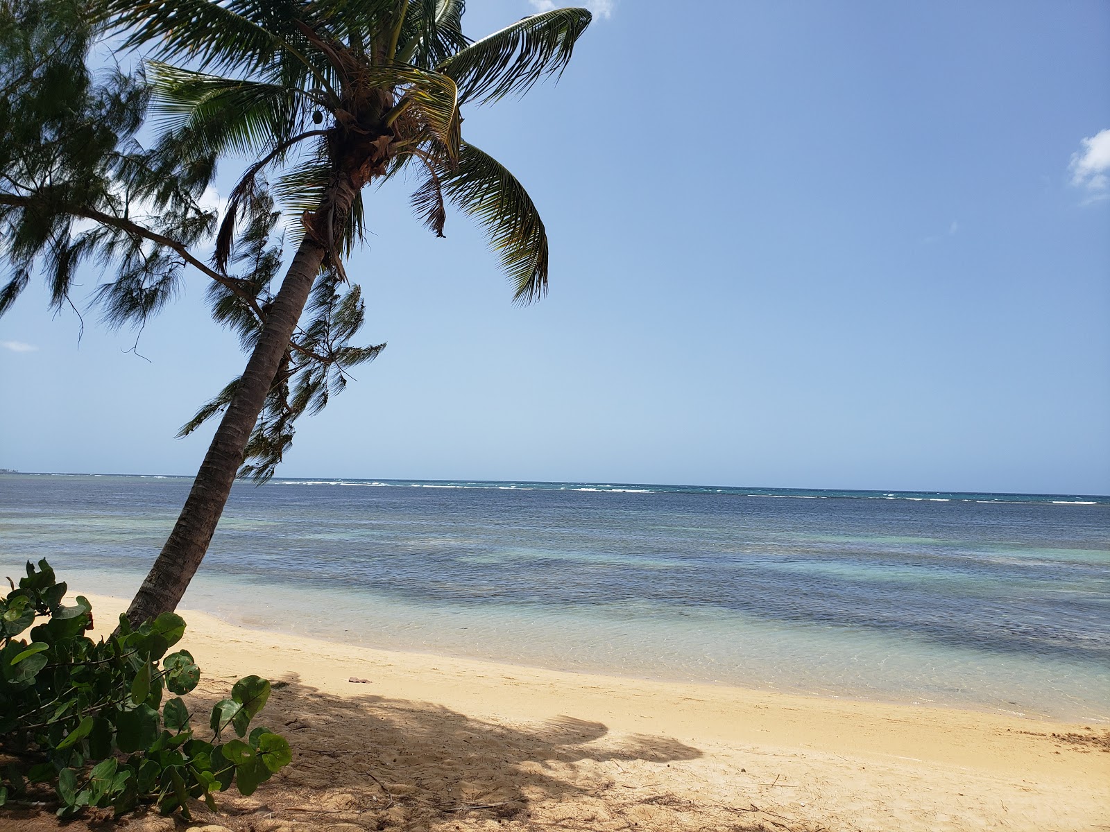 Foto von Punta Bandera Strand und die siedlung