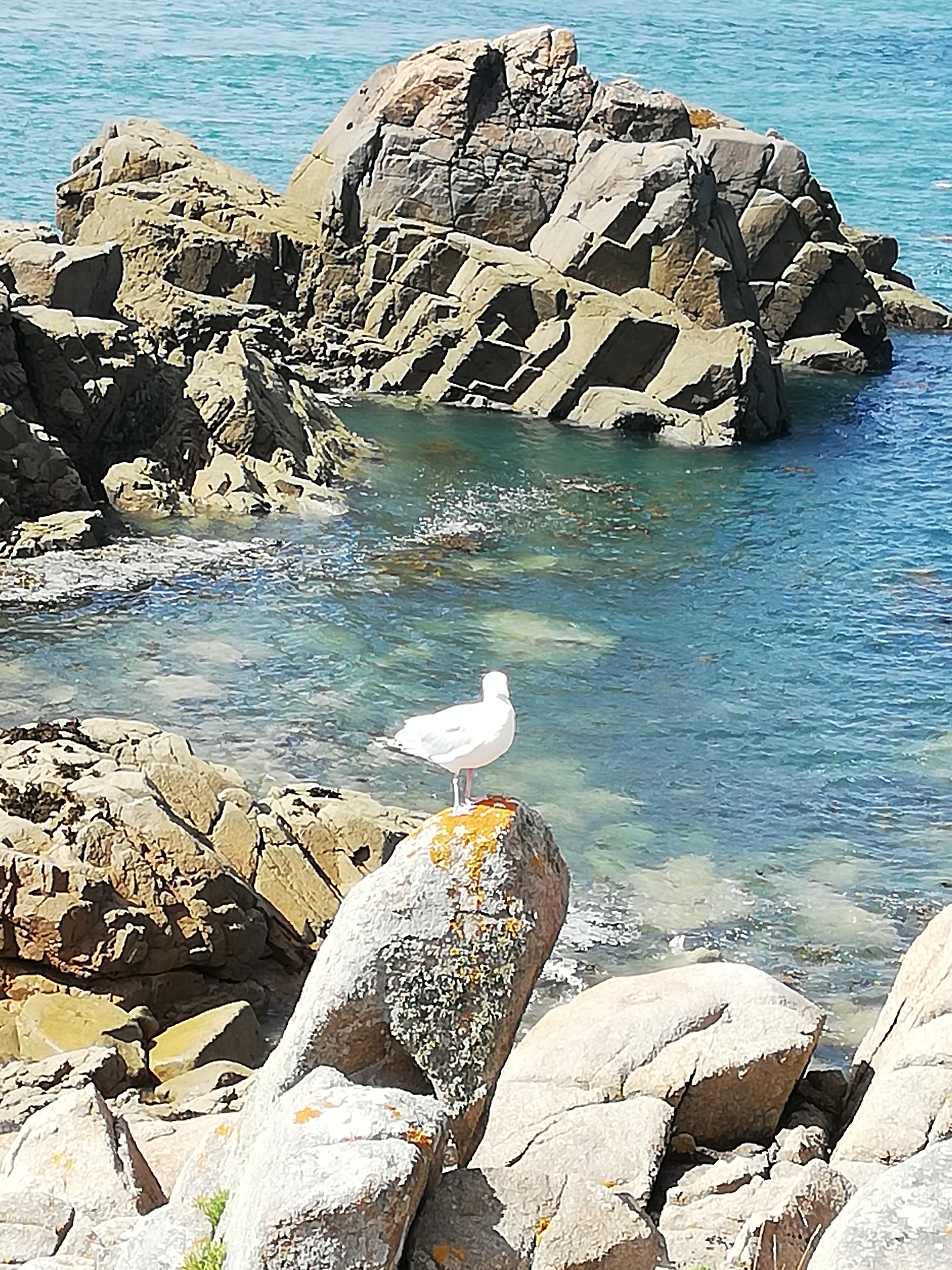 Photo n° 2 de l'avis de Blacky.� fait le 22/09/2019 à 13:18