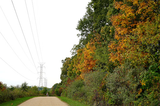 Nature Preserve «Lyons Woods Forest Preserve», reviews and photos, 10200 Blanchard Rd, Waukegan, IL 60087, USA