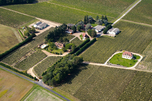 Marionnet Henry - Domaine de la Charmoise à Soings-en-Sologne