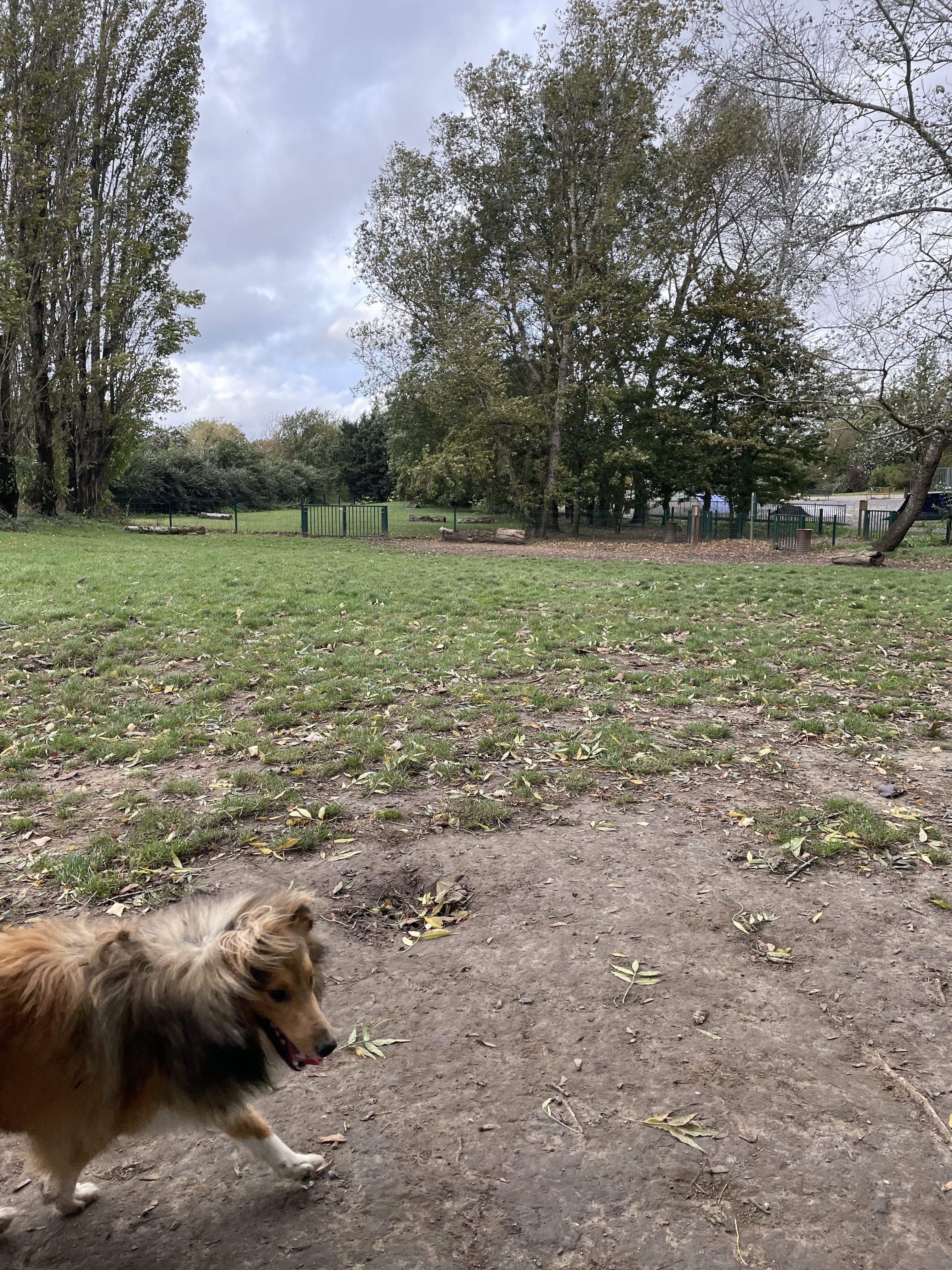 Photo n° 1 de l'avis de cindy.a fait le 21/10/2023 à 08:21