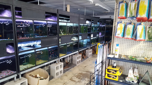Pet Store «Alamo Aquatic Pets», reviews and photos, 6504 Bandera Rd, San Antonio, TX 78238, USA