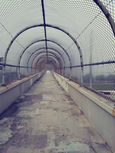 Community Center «Melrose Park», reviews and photos, 1001 Canino Rd, Houston, TX 77076, USA