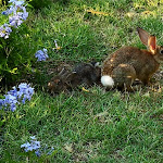Photo n°21 de l'avis de Salvatore. fait le 13/08/2020 à 12:55 sur le  Villaggio Camping Marinella à Isola di Capo Rizzuto