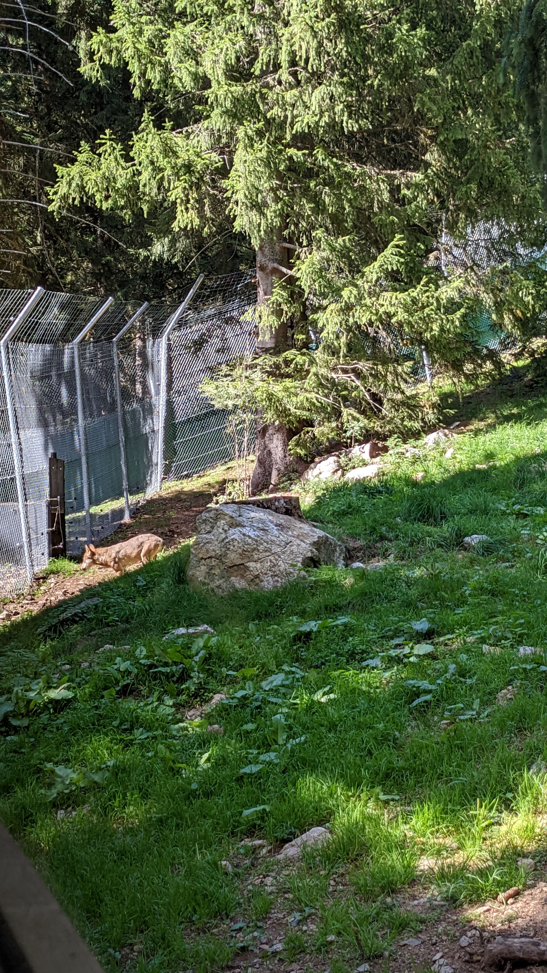 Photo n° 15 de l'avis de Florian.o fait le 11/09/2022 à 15:52